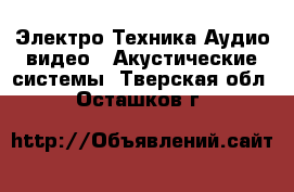 Электро-Техника Аудио-видео - Акустические системы. Тверская обл.,Осташков г.